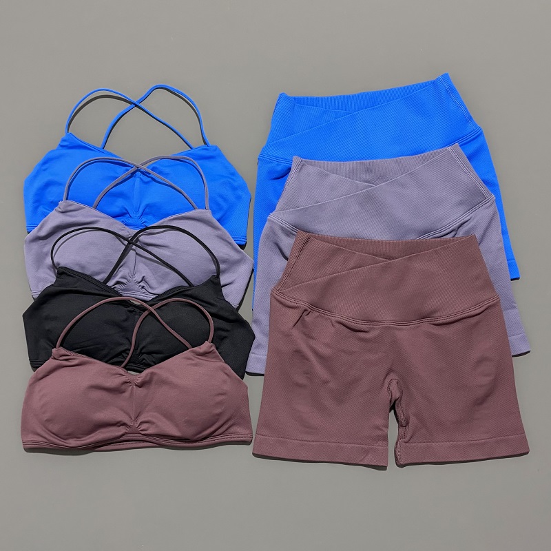 Conjunto de gimnasio de visión - Pilates Yoga Gear reseña y precio
