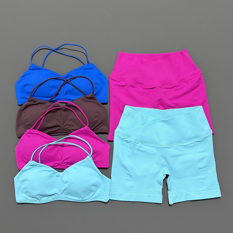 Conjunto de gimnasio de visión - Pilates Yoga Gear reseña y precio